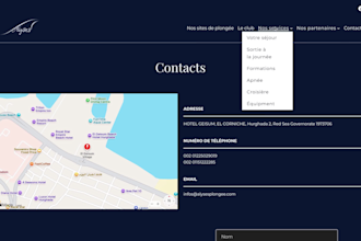 build a professional wordpress website with multilingual support