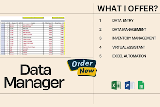 be your virtual assistant for data entry, inventory management
