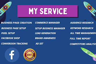 setup and optimize facebook ads campaign