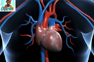 do 3d medical animation, surgical procedure videos and human anatomy explainers