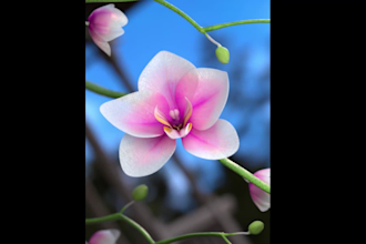 bring your product to 3d and costumize life animation