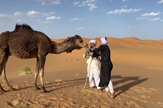 make a congratulations video from the sahara desert