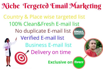 do manually targeted web research niche active email list