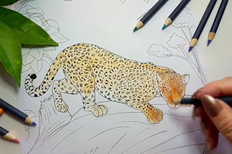 make a video to promote your coloring book