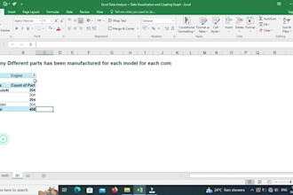 do excel data analysis and visualization