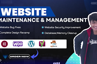 do ongoing wordpress website maintenance and management