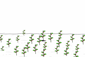 create professional stickman and stick figure animation
