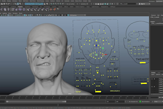 do all type of rigging in autodesk maya
