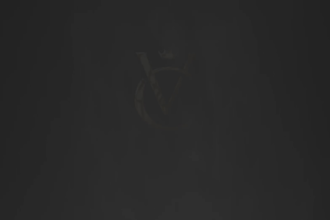 do a professional logo animation or youtube intro