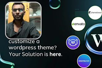 do wordpress customization, fix wp error, edit theme, CSS, plugins, change theme