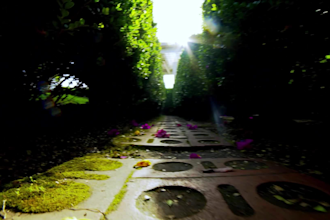 do color grading for your video or short film