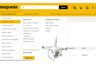 develop website by python django react js angular