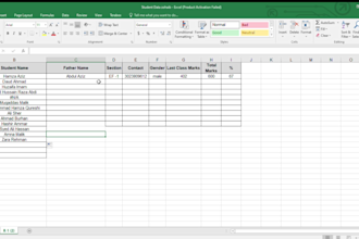 be your excel expert for data analysis, formulas and google sheets