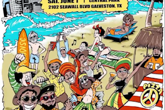 create cartoon illustration animation and motion flyer and poster videos