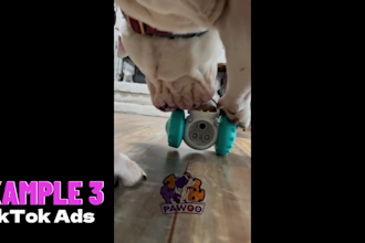 create ugc ad videos for your dog products or pet brand