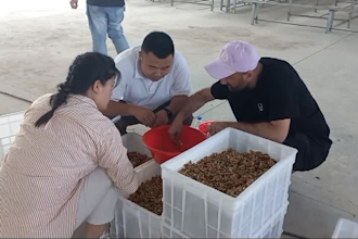 do market research and find profitable products to import from china