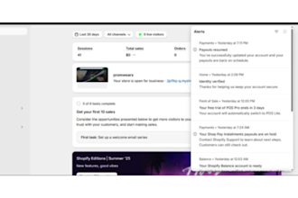 activate shopify payment and shopify balance