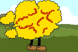 create cartoons in 2d animation