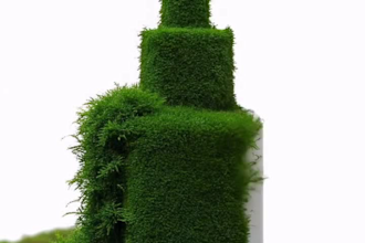 do 3d flower animation, 3d flower design, 3d flower model, 3d plant, 3d flower