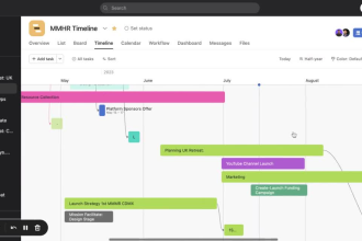 teach you how to use asana 4 project management