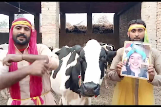 do funny happy birthday video funny happy birthday video