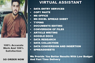 do data entry work,copy paste conversion of files for you