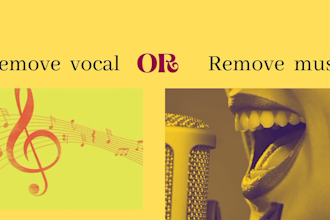 perfectly remove vocals from songs and make a karaoke