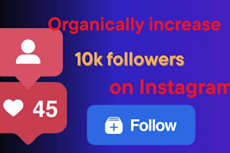 increase 300 followers daily on instagram organically
