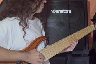 be your pro bass player i can play fretless and groovy lines