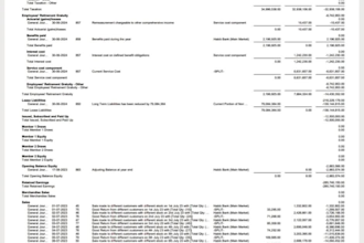prepare financial statements, profit and loss, cash flow statement