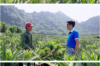 be your professional videographer in viet nam