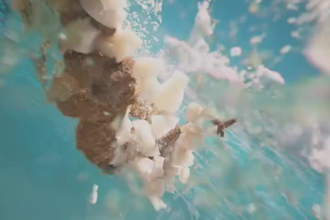 do 3d water simulation 3d dynamic fluid 3d vfx animation 3d product animation