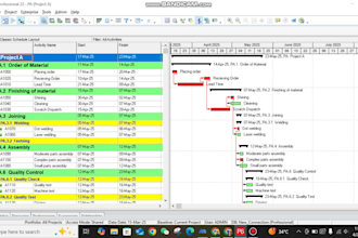 prepare schedule on primavera p6 or ms project