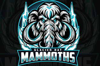 design a custom sports team logo