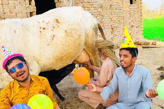 wish african happy birthday video or happy birthday video