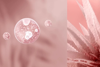 do 3d lipstick,3d cosmetics animation video, 3d perfume, skincare, makeup design