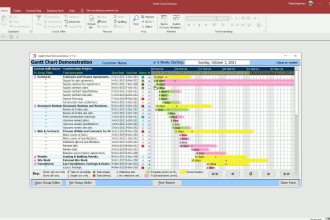 provide microsoft access help and support