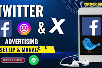 set up laser targeted facebook instagram and twitter ads