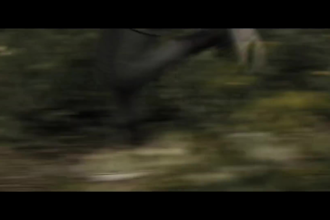 create a book trailer or promotional book video promo