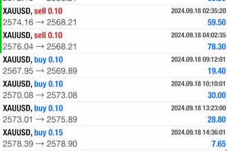 provide profitable forex bot, forex trading robot, crypto bot, forex ea robot
