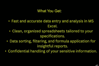 do efficient data entry services with expertise in ms excel