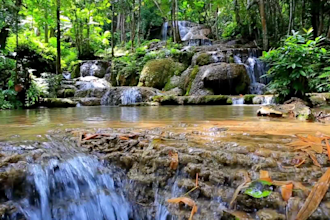 create meditation relaxing nature sound video