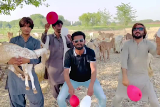 creat crazy and funny happy birthday video