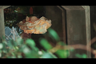 stunning cinematic video editing
