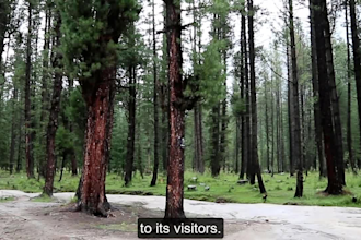 transcribe your video and create closed captions srt vtt files