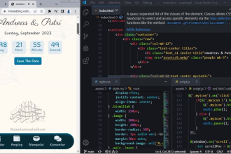 do web development based on your need