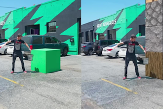 any type of vfx editing , top notch matchmoving etc