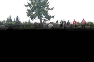 do vfx, rotoscoping and green screen remove your video etc