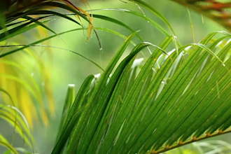 create HD relaxing rain videos