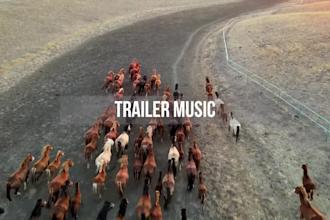 produce orchestral music for you